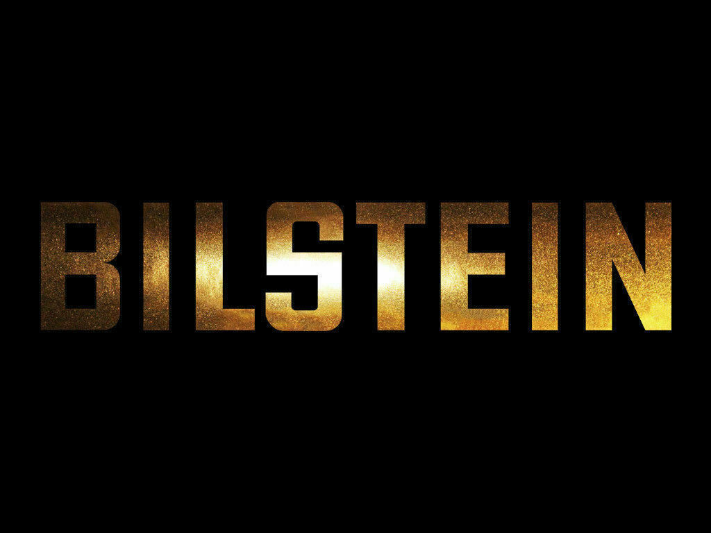 Bilstein Gold Chrome Sticker Decals (not printed)