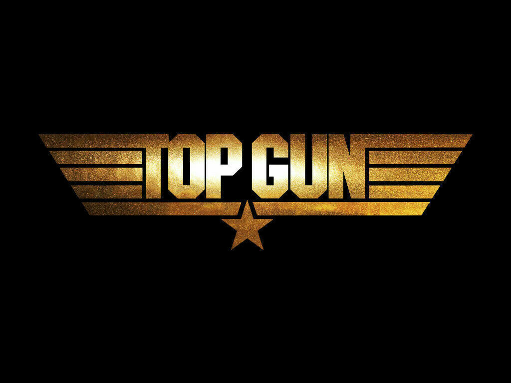 Top Gun Sticker Decals (not printed)