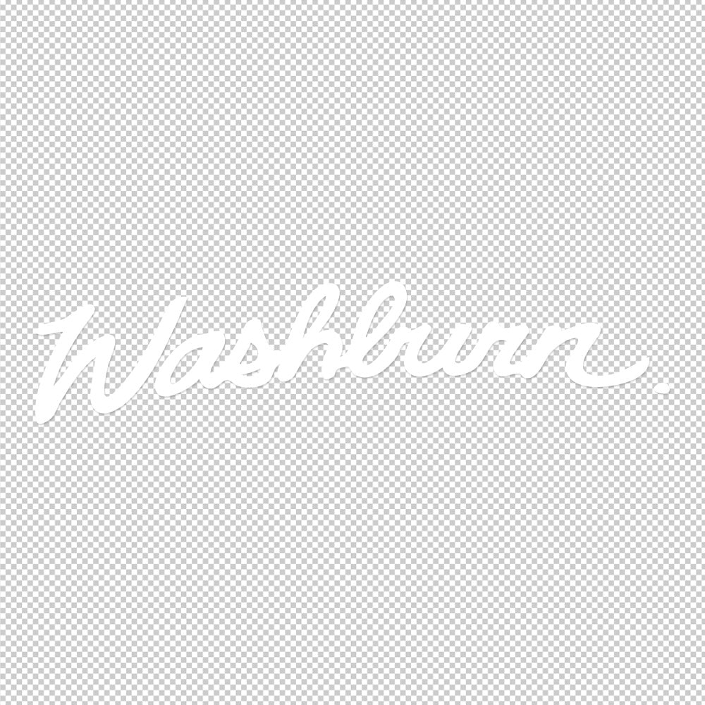 Washburn Guitar Sticker Decals (not printed)
