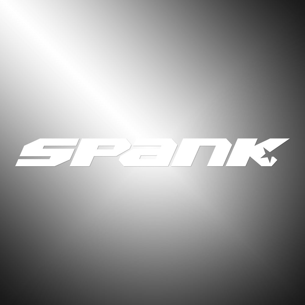 Spank Sticker Decals (not printed)