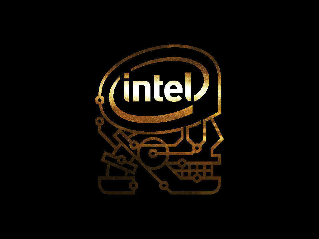 Intel Skull Sticker Decals (not printed)