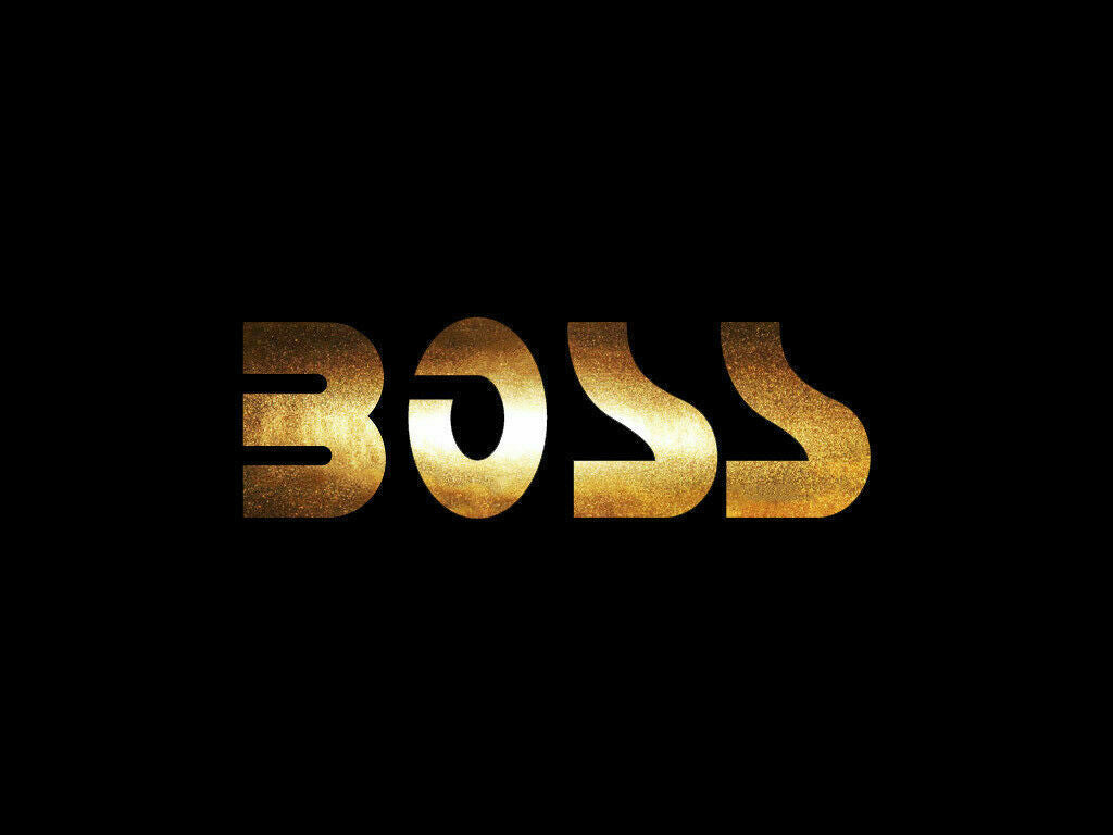 Boss Audio Sticker Decals (not printed)