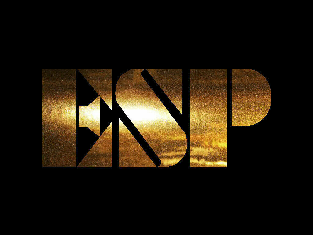 ESP Sticker Decals (not printed)