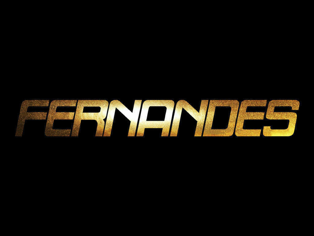 Fernandes Guitar Sticker Decals (not printed)