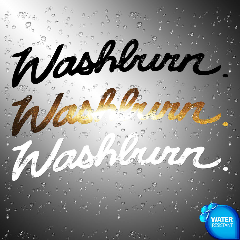 Washburn Guitar Sticker Decals (not printed)