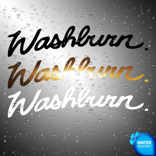 Washburn Guitar Sticker Decals (not printed)