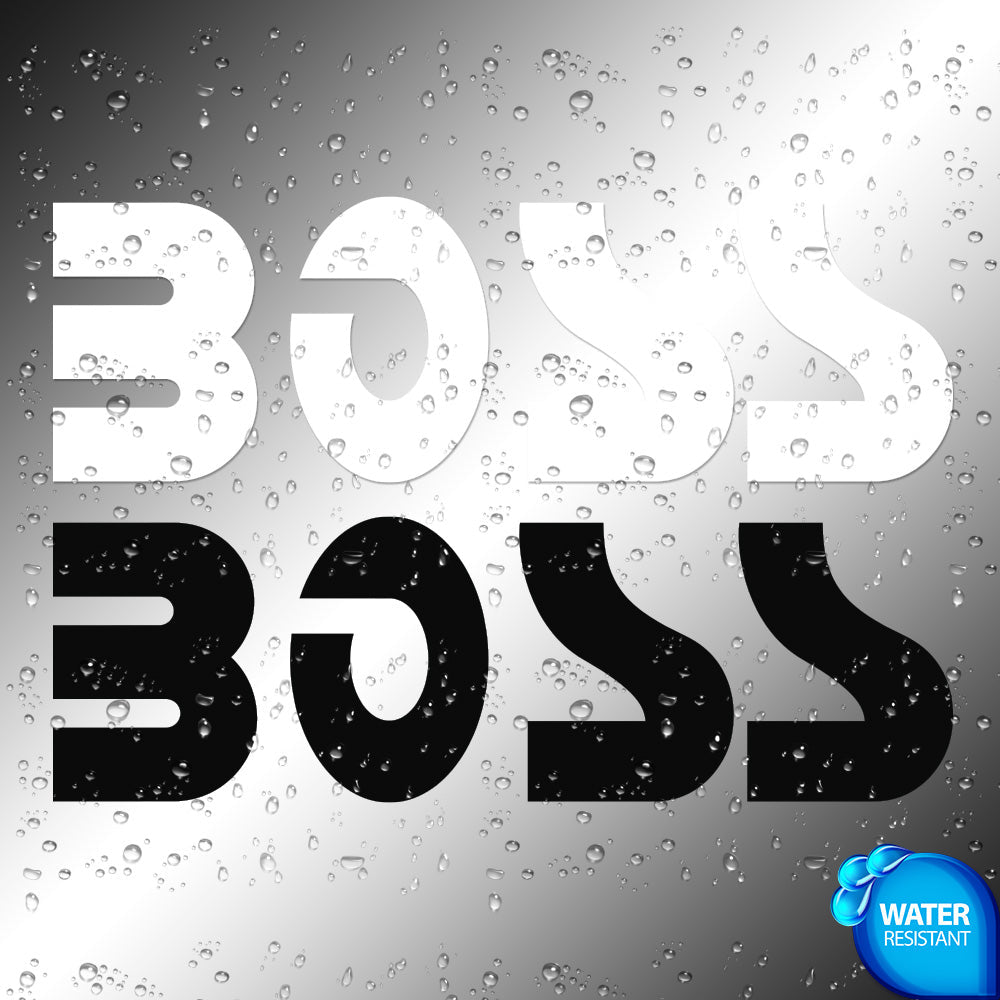 Boss Audio Sticker Decals (not printed)
