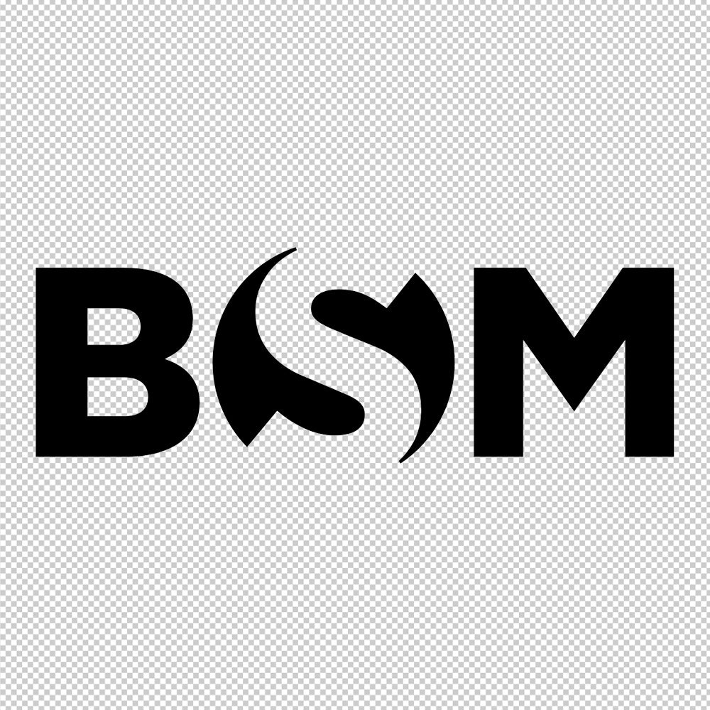 BSM Ship Sticker Decals (not printed)