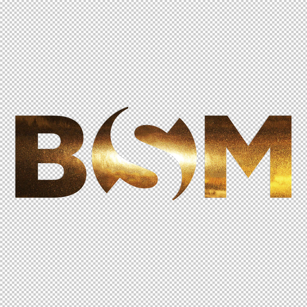 BSM Ship Sticker Decals (not printed)
