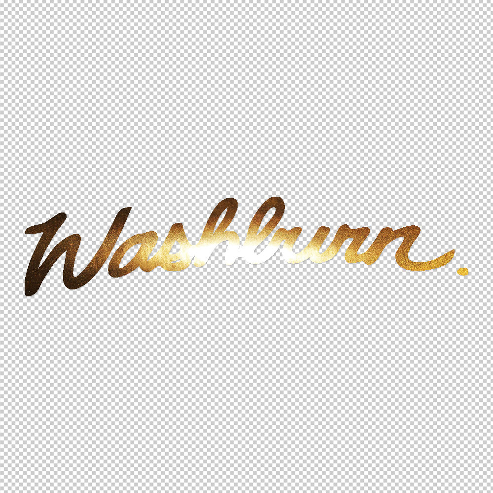 Washburn Guitar Sticker Decals (not printed)