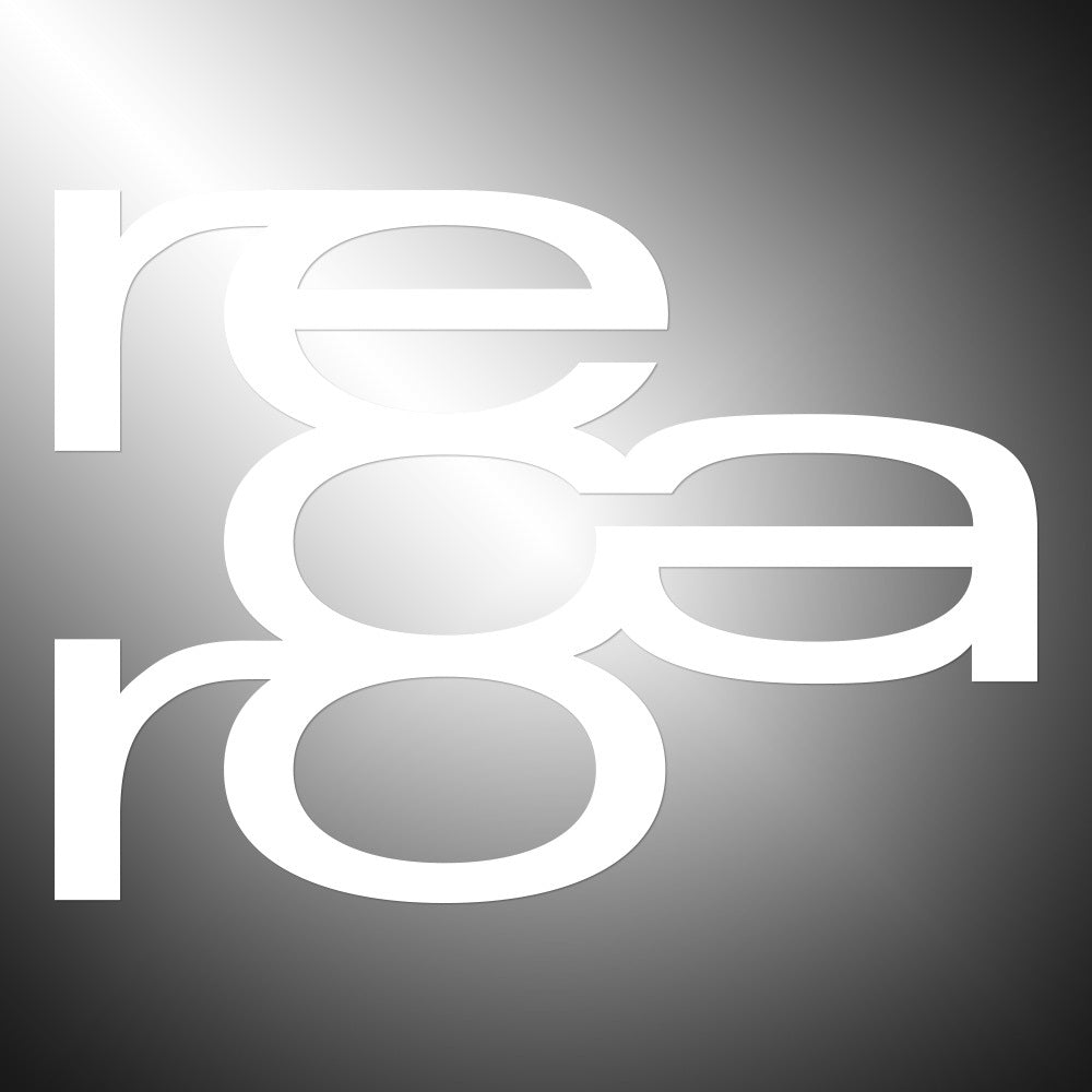 Recaro Sticker Decals (die cut not printed)