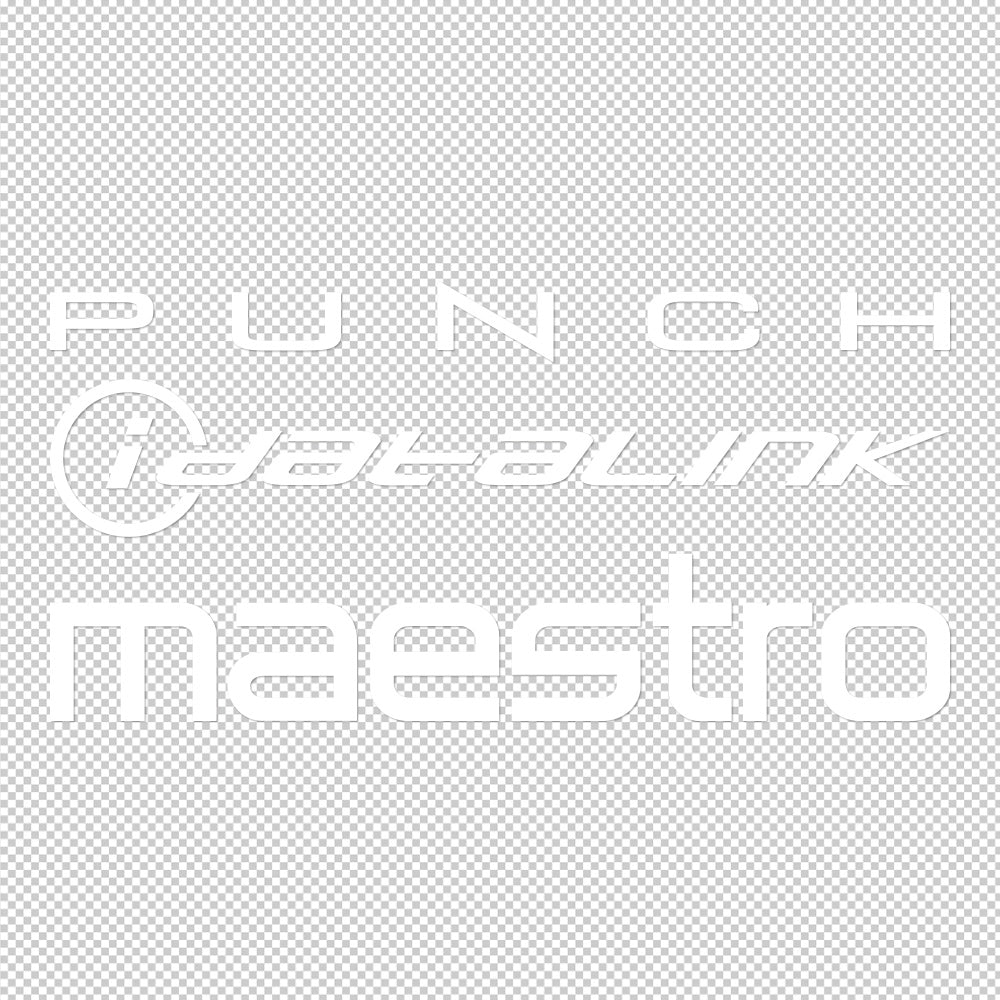 3X Rockford Fosgate Punch datalink Maestro Sticker Decals (not printed)