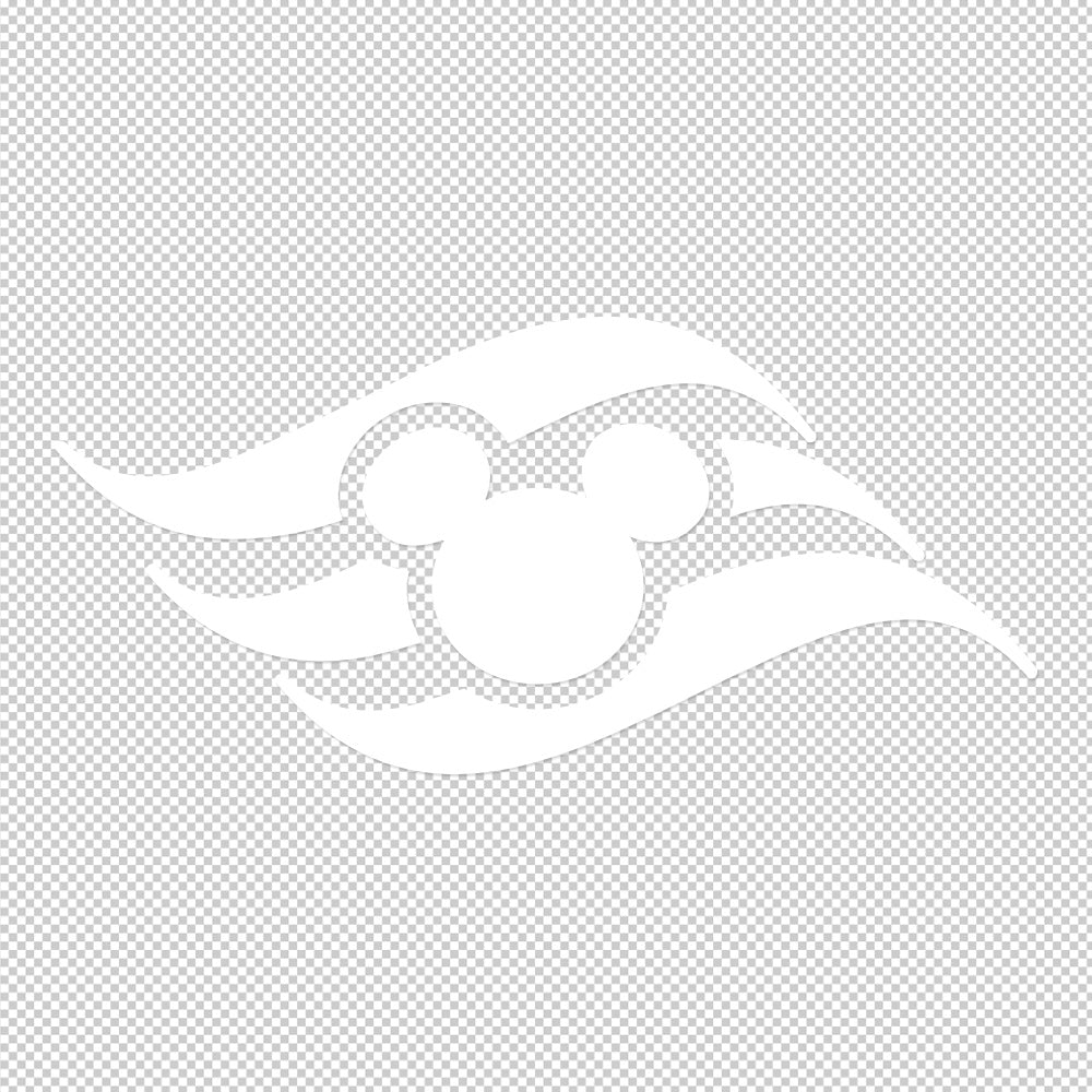 Disney Cruise Line Sticker Decals (not printed)